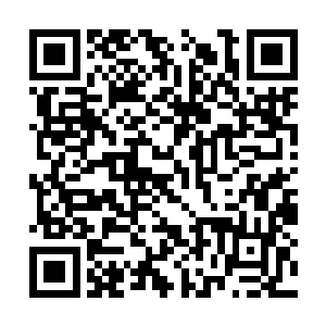 穿过那几个七品墨徒和十二位先天域主所在的位置二维码生成