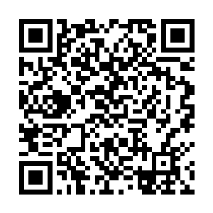 穿金裂石的吼声从空间裂缝另一边遥遥传到第一军驻地二维码生成