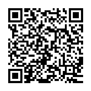 突出来的棱棱角角让她不禁想到了动画里被遮盖住的高达机体二维码生成