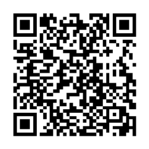 突然・有一个普通血脉的弟子跑到了血脉弟子的身后二维码生成