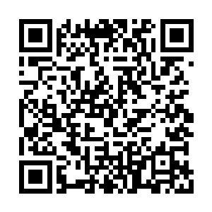 突然一道黑影从水坑里一跃而起直扑赵纯良面门二维码生成