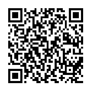 突然一阵电话铃声像是一盆凉水一样的将两个人瞬间击醒二维码生成