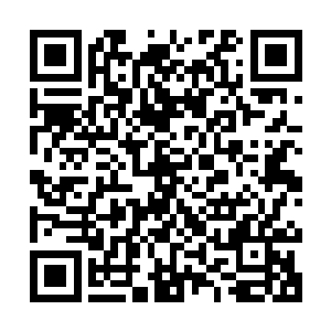 突然不远处山谷里走出一个身穿蓝衣的蓝发青年男子朝他们走来二维码生成