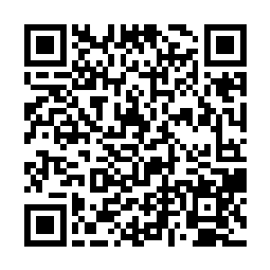 突然与面前这位琉璃天的冰心公主面貌重合起来……二维码生成