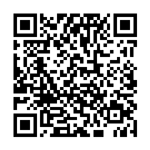 突然举起手对着一个从博物馆正门走出来的人招手道二维码生成