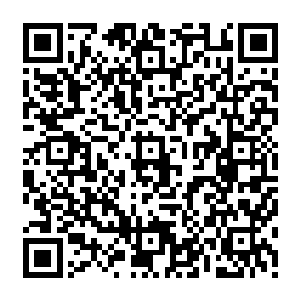 突然之间一根尖锐的树根从冷天佑的手掌心之中冒了出来直接逼近了冷天佑的大动脉二维码生成