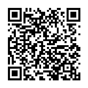 突然之间一股红色的光团从靳空的手中绽放了出来二维码生成