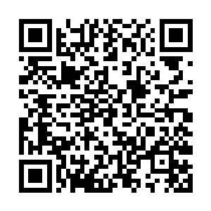 突然之间东润和吴曦几乎同时朝着地面上注意了过去二维码生成