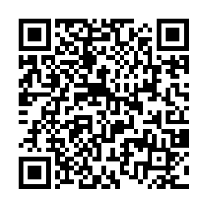 突然之间大家发现先前的时候有些过于的小觑丁羽了二维码生成