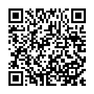 突然之间我看到了在张亮的前方瞬间出现了一波的僵尸二维码生成