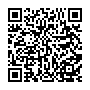 突然他抬头看到客栈门口角落里有个男孩伸手偷偷地望着江帆二维码生成