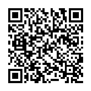 突然出了张铁刚刚看到的那个果实上的奇怪的符号二维码生成