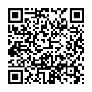 突然出现两个强硬的苍澜宗弟子他们也没有放在心上二维码生成