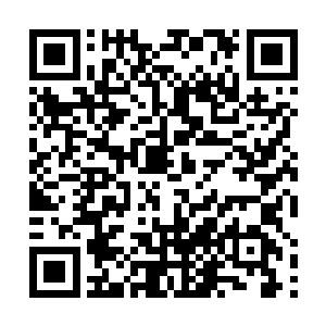 突然出现的一个家伙一脚踹开了我然后过来补了我一下二维码生成