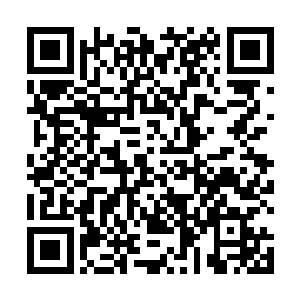 突然又看到巨人尸兄喉咙深处有什么东西在动－－那是二维码生成