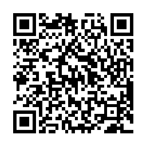 突然发现一只金黄色的鹦鹉扑腾着翅膀落在了鸟笼上头二维码生成