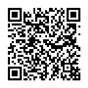 突然发现所有战兵以及列兵们都把自己和女兵们给围拢起来二维码生成