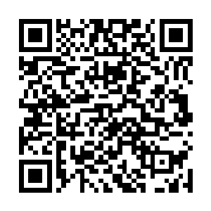 突然周围也传来了一阵悉悉索索的声音和急促的脚步声二维码生成