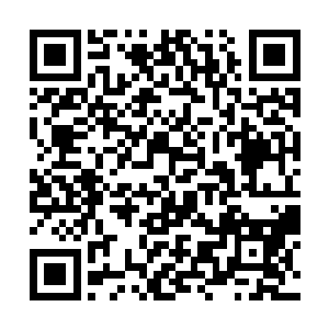 突然在月吉城的大四象阵的中间上空打开了一道门户二维码生成