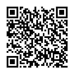 突然想起莫小鱼第一次是跟着杜曼雪和姬可馨来的二维码生成