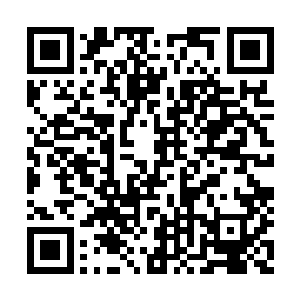 突然把手伸进了自己的兜里假装在拿什么的样子二维码生成