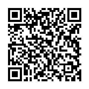 突然有一个微・博曝出王世子的车子停在了京城机场T3停车场处二维码生成