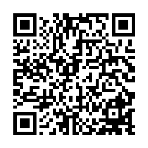 突然注意到这女人不就是刚才召唤出那些粗大植物根茎二维码生成