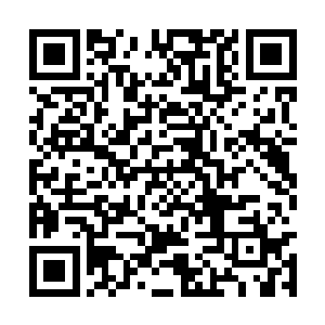 突然洛离想到了自己当初收取的十五件伪先天灵宝二维码生成