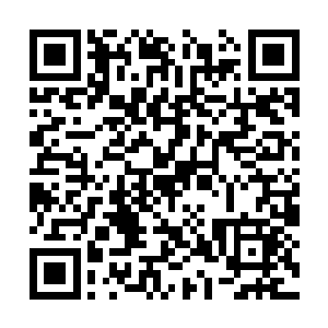 突然觉得我即将进入的这个世界变得有意思起来了二维码生成