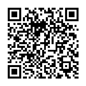 突然那十几个人一起拿出钢管将我们五个人给包围了二维码生成