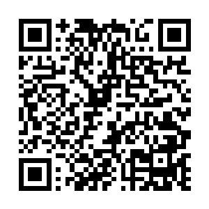 突然门口出现了一个我不敢见却又想要见的人……晶姐二维码生成