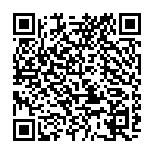 突然闯入的一只略大的灵鱼在真空区停顿两息然后突然化成法则之力散开二维码生成