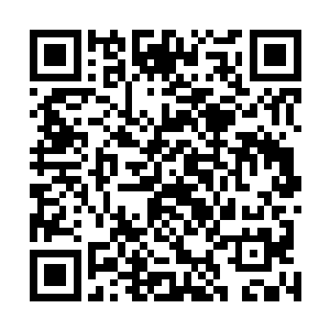 突然间他感觉面前这个一袭青衫的女子变得无比高大起来二维码生成