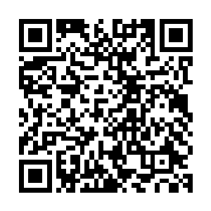 突然间我的脚踝被一只冰冷的手抓住整个人都被拖进了血海深处二维码生成