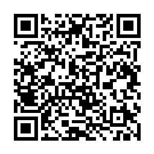 突然间竟觉得眼前的这个女娃娃好像真的长大了不少二维码生成