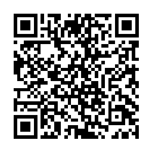 窗外的阳光洒在衣服上更让人恍惚看到蝴蝶振翅欲飞二维码生成