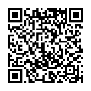 窝到独山镇的丁长生居然能这么短时间就东山再起二维码生成