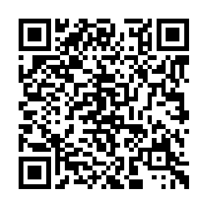 窝在演武场穿着重铠练了一整天的罗林累得够呛二维码生成