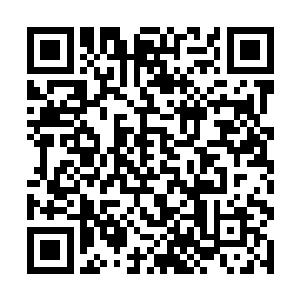 窝阔又没有一个可以挣钱且全心全意帮助自己的兄弟二维码生成