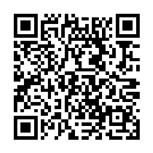 窝阔可不相信两个能坑了自己的少年会这么好说话二维码生成