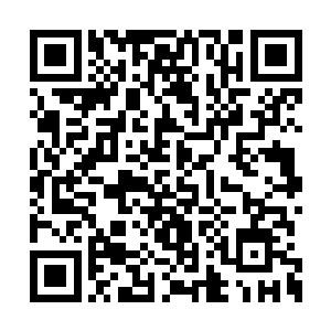 立刻不顾一切的持枪冲向了自己的师叔昊阳真人二维码生成