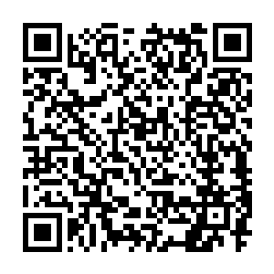 立刻启动车子掉头就朝着正在缓缓闭合的别墅院子大门方向不管不顾冲去二维码生成