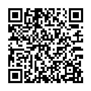 立刻将捂着肩愤愤瞪着涼妃的白夙塞到了青灵戒二维码生成