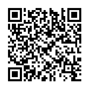 立刻将这个仙君初期巅峰的巨蟒转移到了紫烟空间二维码生成