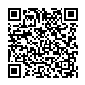 立刻就有好几名锦衣官校重重叠叠的挡在他身前二维码生成