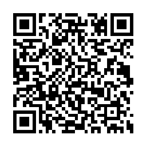 立刻就朝着对面蓝衣年轻人所在的位置冲了过去二维码生成