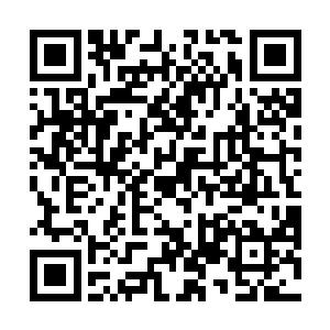 立刻就看到林飞夜和林绯虞两个人然地站在各自的门口二维码生成
