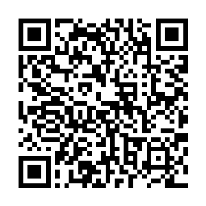 立刻惊得盆地内数十万考核人员集中精神睁开法眼看向山巅二维码生成
