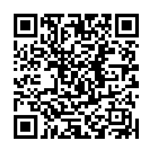 立刻感受到这里的环境绝对是无数的鹦鹉可遇而不可求的二维码生成