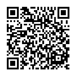 立刻成为学校的追求你们的男同学已经可以环绕燕南大学几圈了二维码生成
